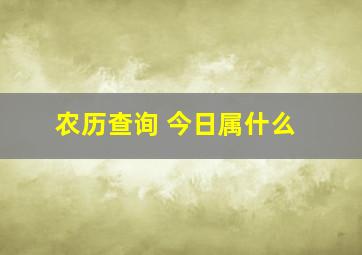 农历查询 今日属什么